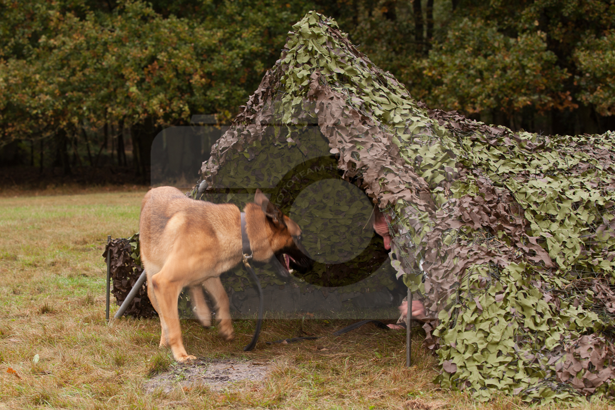 2016_10_20 1st Military Working Dog Regiment-105958