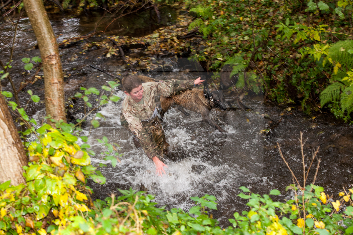 2016_10_20 1st Military Working Dog Regiment-111703