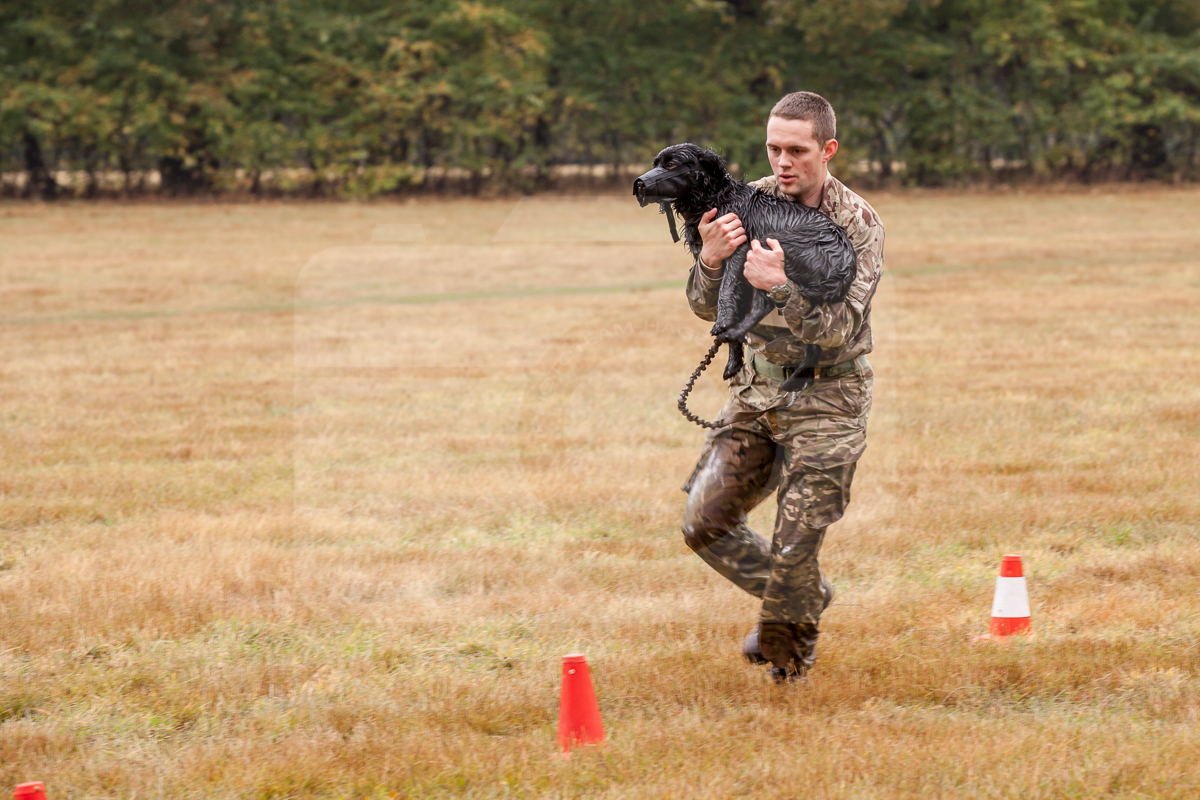 2016_10_20 1st Military Working Dog Regiment-113717