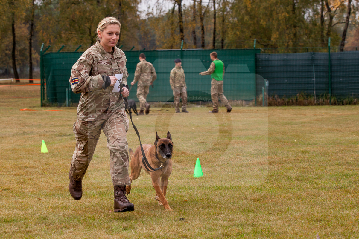 2016_10_20 1st Military Working Dog Regiment-120817