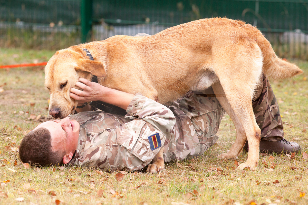 2016_10_20 1st Military Working Dog Regiment-124017